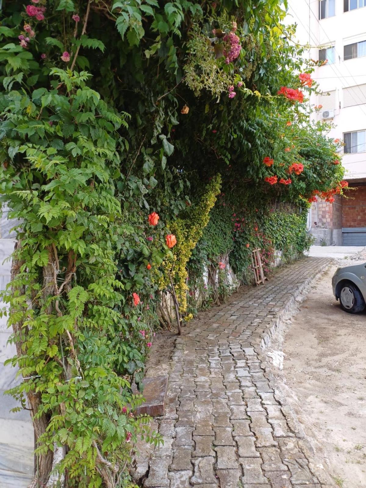 Ferienwohnung Arben Durrës Exterior foto